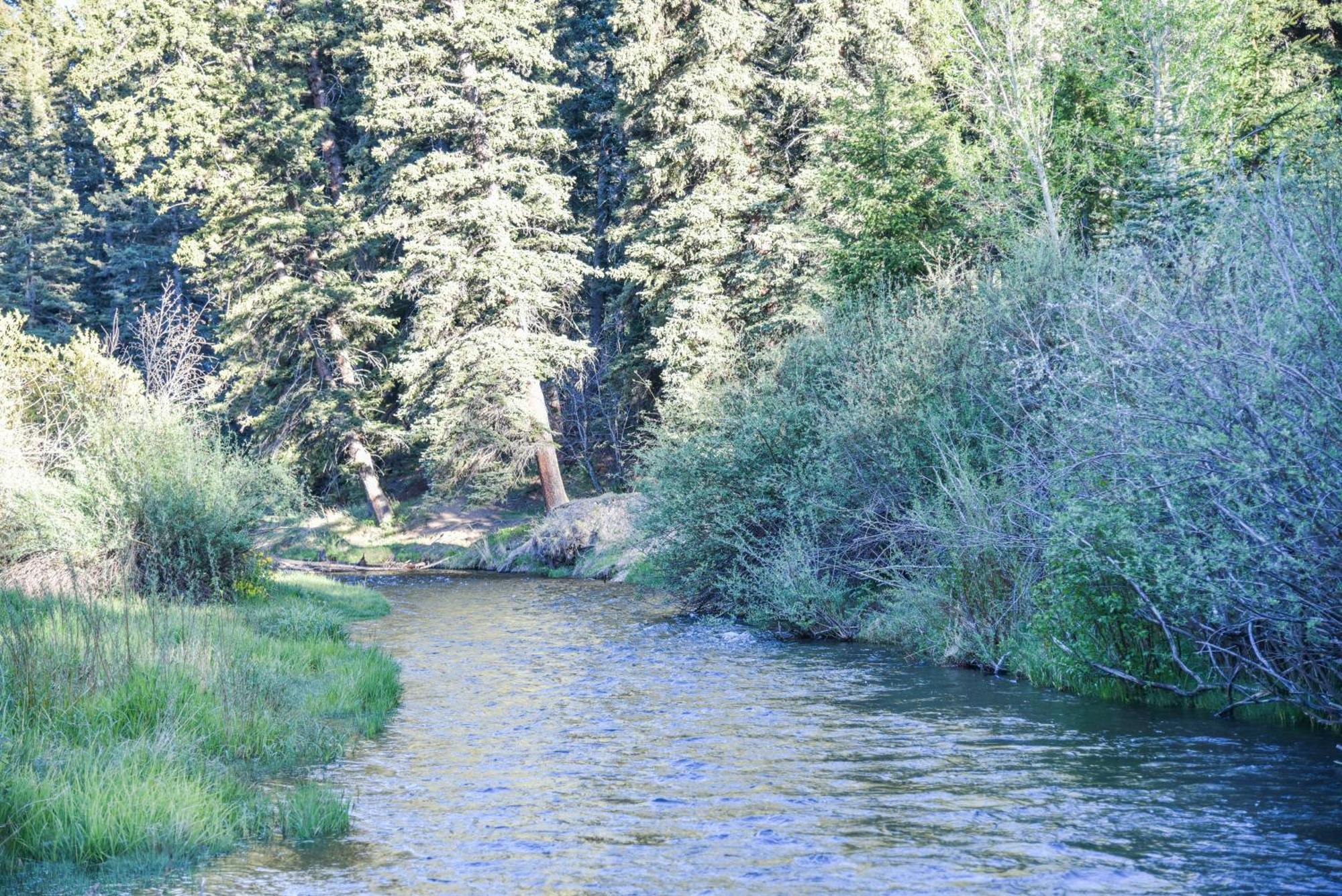 River Lyric Lodge - Formerly Double Dog Red River Bagian luar foto